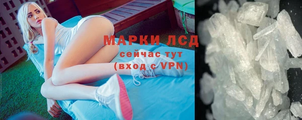 стаф Алзамай