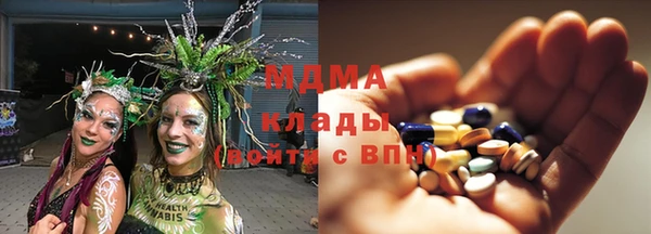 стаф Алзамай