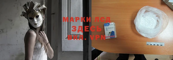 стаф Алзамай