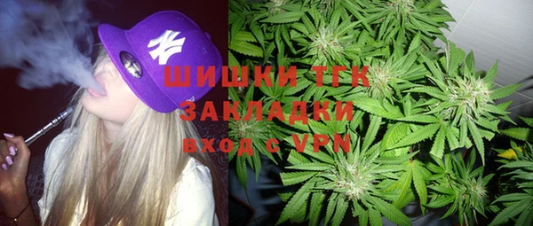 стаф Алзамай