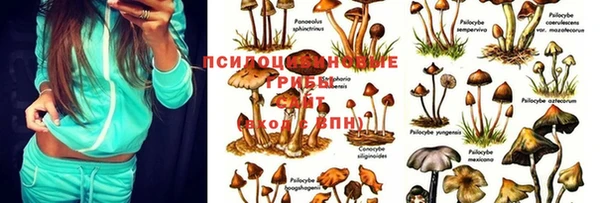 2c-b Болхов