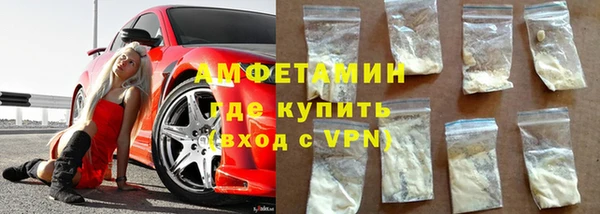 стаф Алзамай